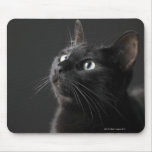 Black cat against black background, close-up mouse pad