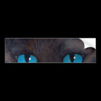 Black Cat Art  & Butterfly - Multi bumper stickers