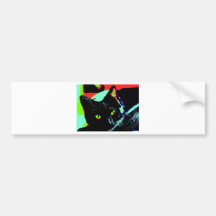 Black Cat Bumper Sticker