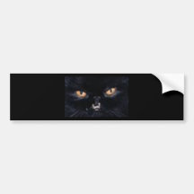 black cat bumper sticker