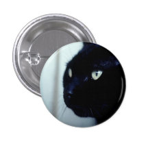 Black Cat Face Pin