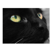 Black Cat Green Eyes Postcard Cartes Postales