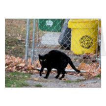Black cat in Autumn Digital Art Greeting Cards