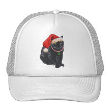 Black Cat in Santa Hat