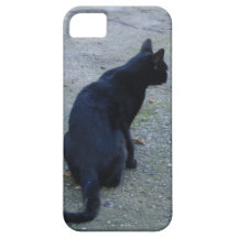 Black Cat iphone 5 Case-Mate Case