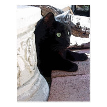 "Black Cat Laying" postcard