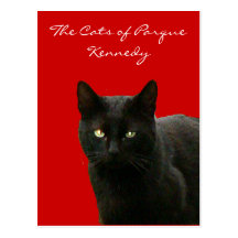 Black Cat on Red Postcard