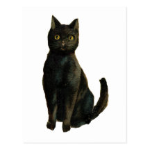 Black Cat Post Card
