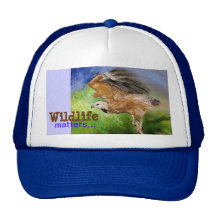 Black-collared Hawk Hat