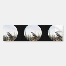 Black-crowned night heron bumper stickers