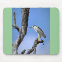 Black-crowned Night Heron Mouse Pad