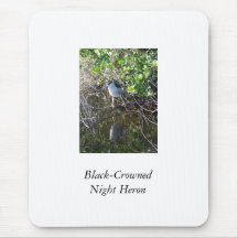 Black-Crowned Night Heron Mouse Pads