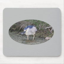 Black-Crowned Night-Heron Mousepad