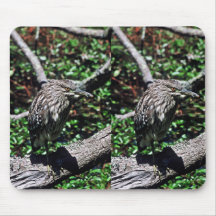 Black-crowned night heron mousepads
