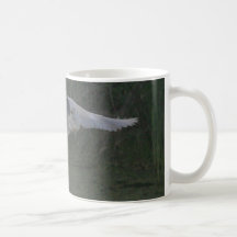 Black-Crowned Night-Heron Mug