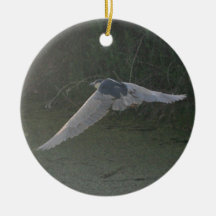 Black-Crowned Night-Heron Ornament