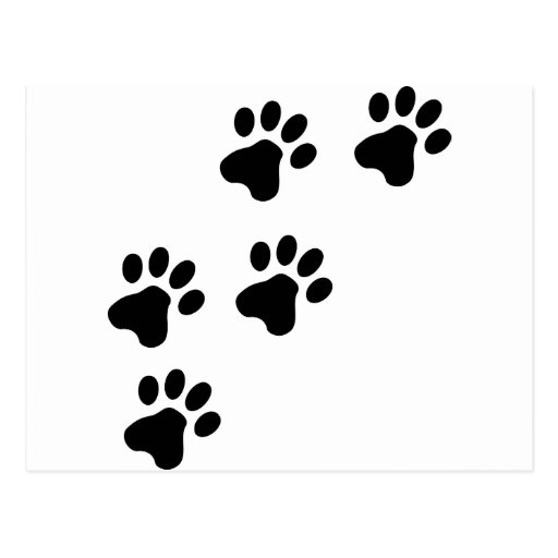 black cute dog paws doggy post cards