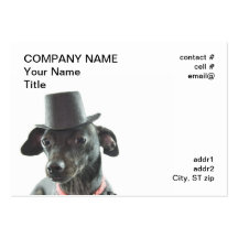 black dachshund wearing a tophat business card templates