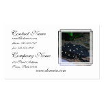 Black Devil Stingray Business Card business cards