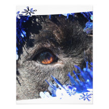 Black dog eye peering out of blue tinsel invites