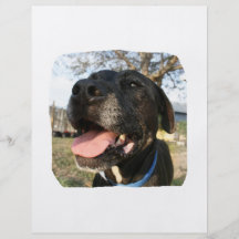 Black Dog Pink Tongue Smiling In Camera Personalised Flyer