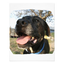 Black Dog Pink Tongue Smiling In Camera Personalised Announcement
