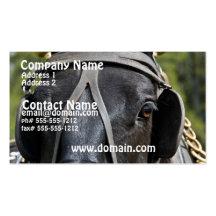 Black Draught   Horse  Business Card