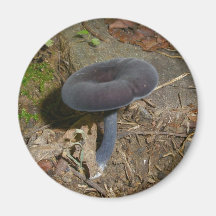 Black Flower Mushroom Magnet