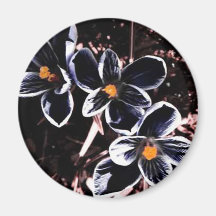 Black Flowers Refrigerator Magnets