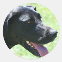 Black Great Dane stickers