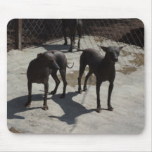 Black Hair Less Hounds In The Cage Mousepad
