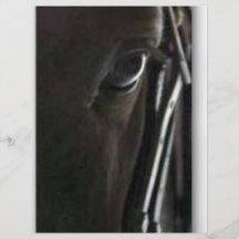 black horse custom flyer