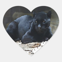 Black Jaguar Heart Stickers