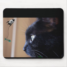 black kitty cat wants space fish mouse pads