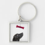 Black lab mixed dog with red dog bone key chain