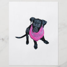 Black Lab Pink Bandanna Puppy image Flyer