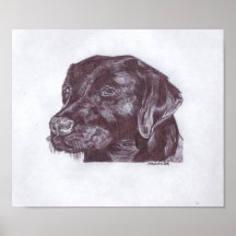 Black Lab Print