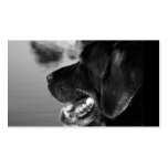 BLACK LABRADOR - Business Card Template