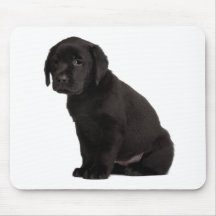 Black Labrador Puppy Mouse Pad