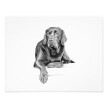 Black Labrador Retriever Personalized Invite