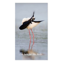 Black-necked Stilt Birder's Calling Card Business Card