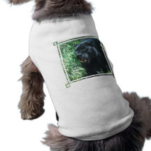 Black Panther Cat Pet Shirt