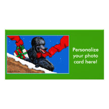 Black Poodle n Packages Christmas Holiday Art Photo Cards