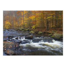 Black River in Autumn - Scenic NJ Photographic Print