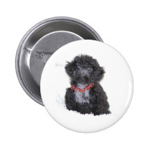 Black Silver Toy Poodle puppy bling Button