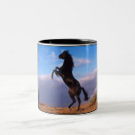 Black Stallion Coffee Mug