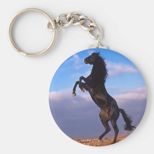 Black Stallion Key Chain