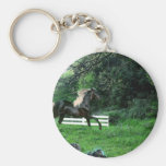 Black Stallion Key Chain