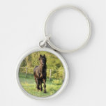 Black Stallion Key Chains