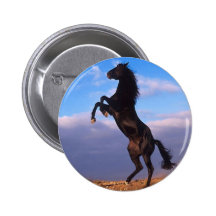 Black Stallion Pinback Button
